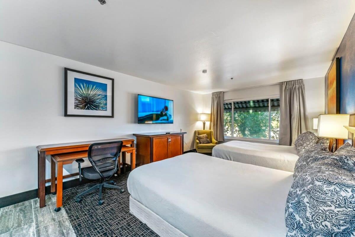 Tempe Studio Apartment Two Full Size Beds Exterior foto